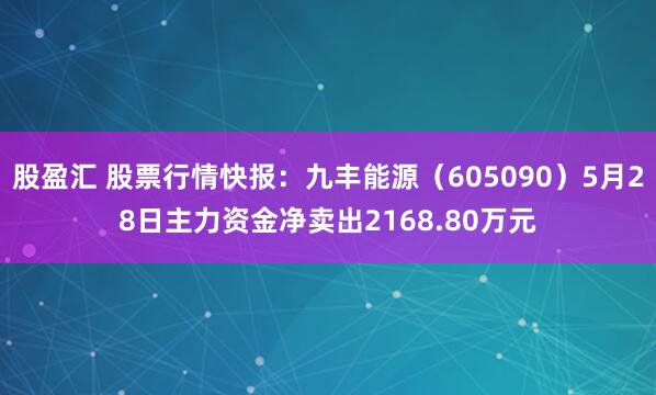 股盈汇 股票行情快报：九丰能源（605090）5月28日主力资金净卖出2168.80万元