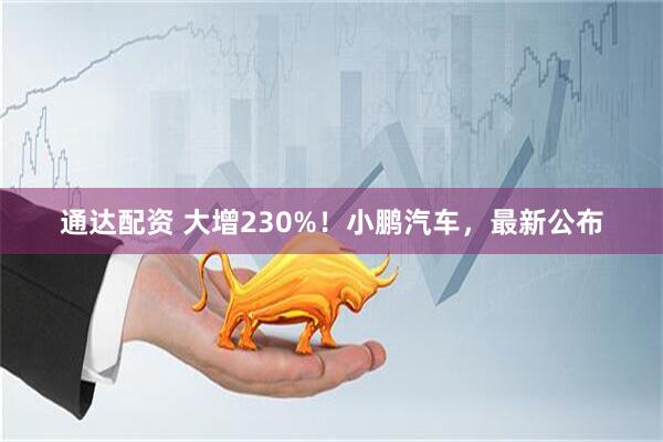 通达配资 大增230%！小鹏汽车，最新公布