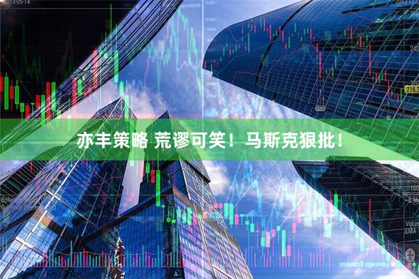 亦丰策略 荒谬可笑！马斯克狠批！