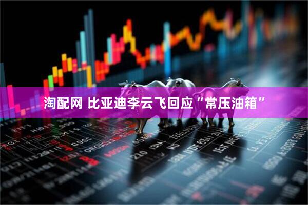 淘配网 比亚迪李云飞回应“常压油箱”