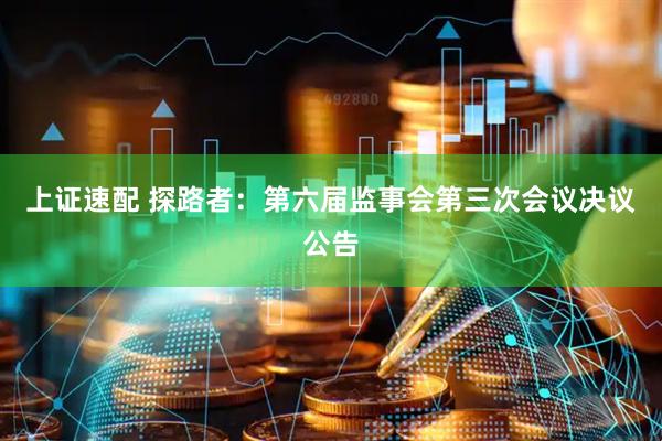 上证速配 探路者：第六届监事会第三次会议决议公告