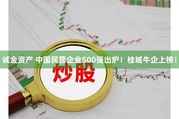 诚金资产 中国民营企业500强出炉！桂城牛企上榜！