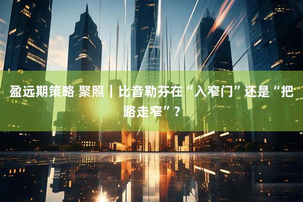 盈远期策略 聚照｜比音勒芬在“入窄门”还是“把路走窄”？